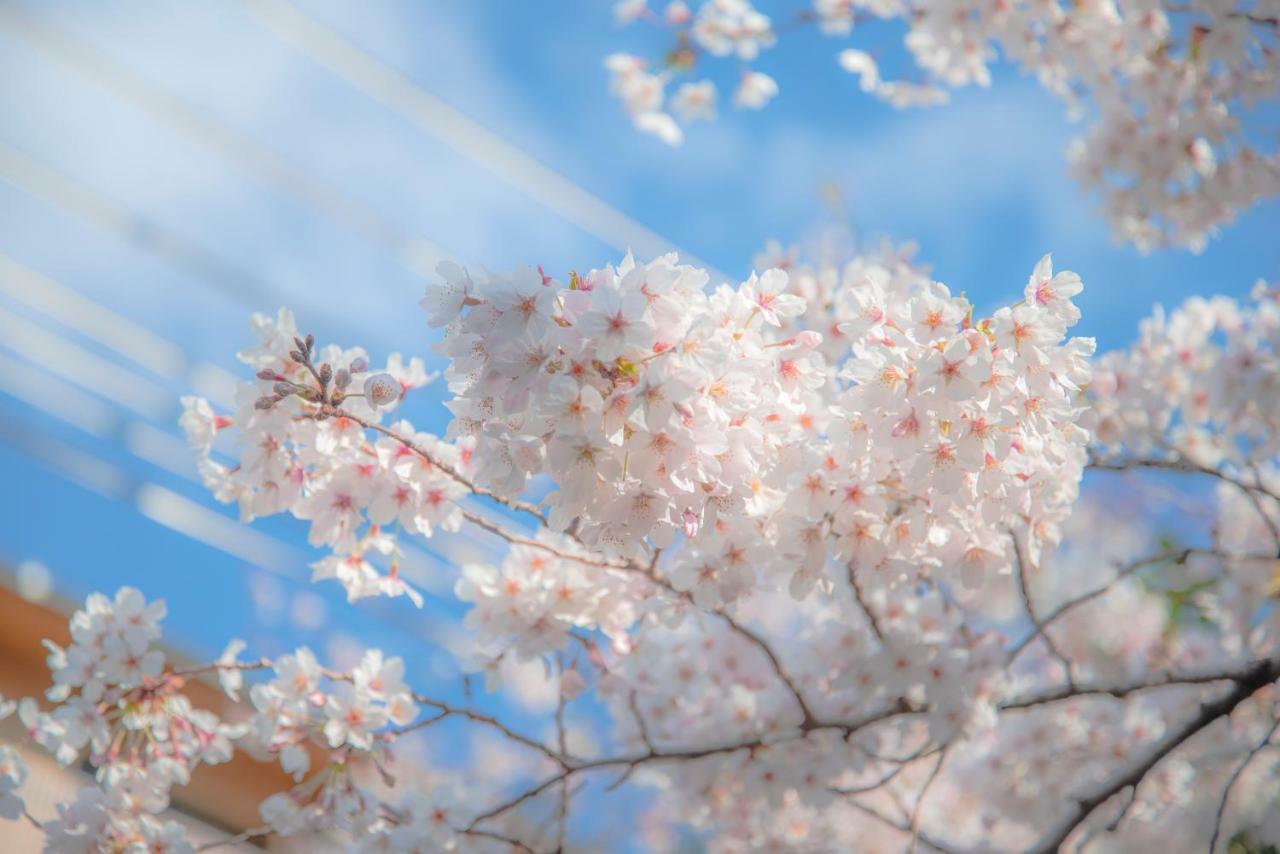 Отель Kyoto Takasegawa Bettei Экстерьер фото